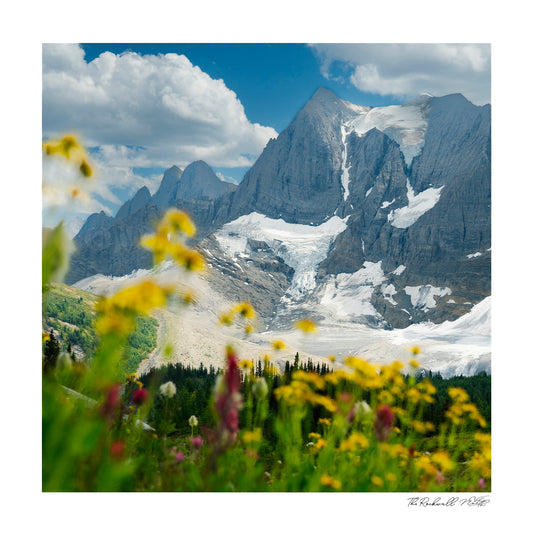 Rockwall Trail - Pretty Little Print