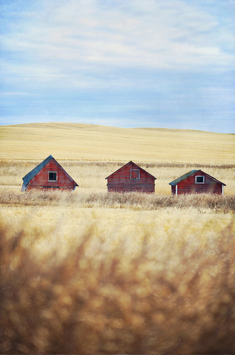 3 Little Farm Buildings <br>Archival Fine Art Chromogenic Print