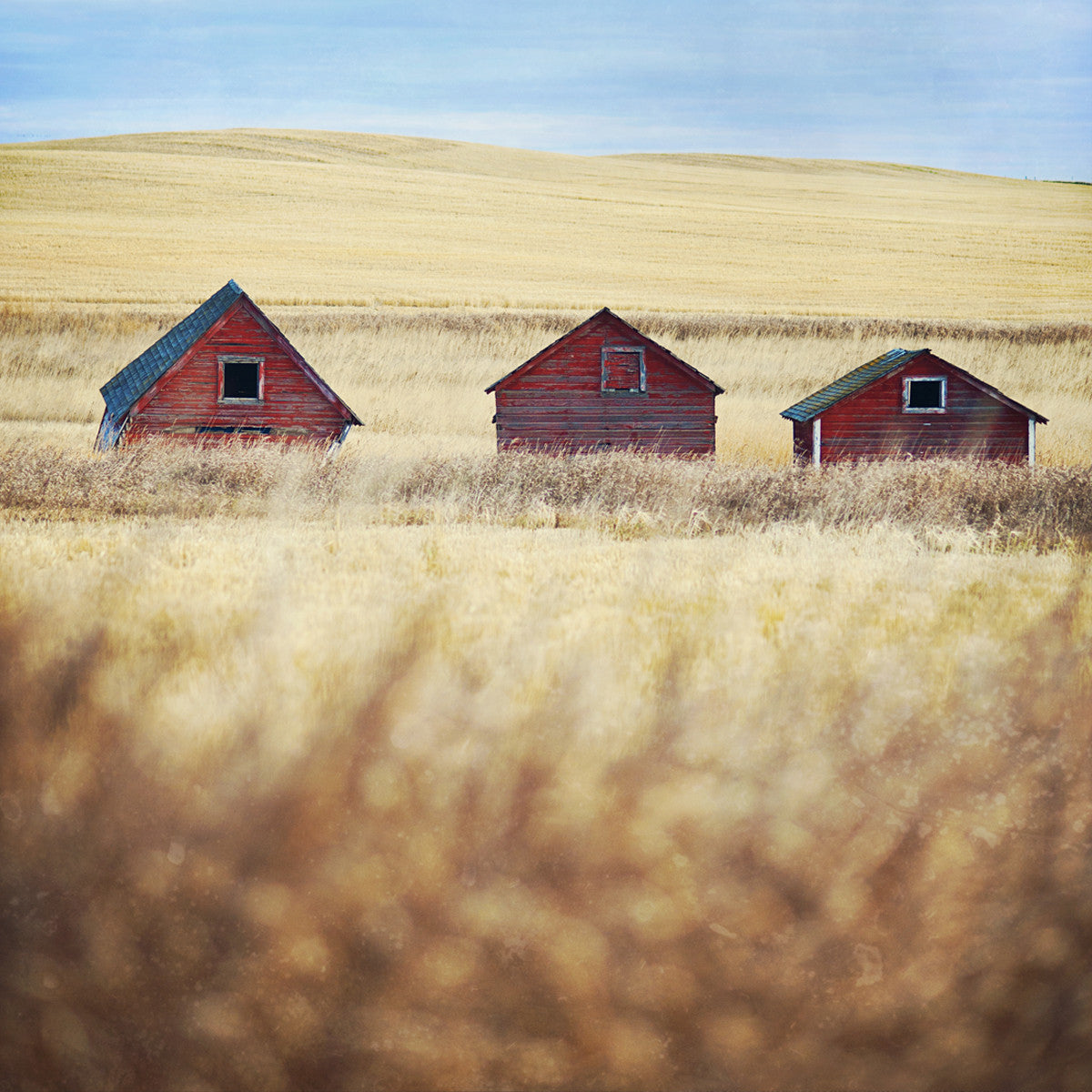 3 Little Farm Buildings <br>Archival Fine Art Chromogenic Print