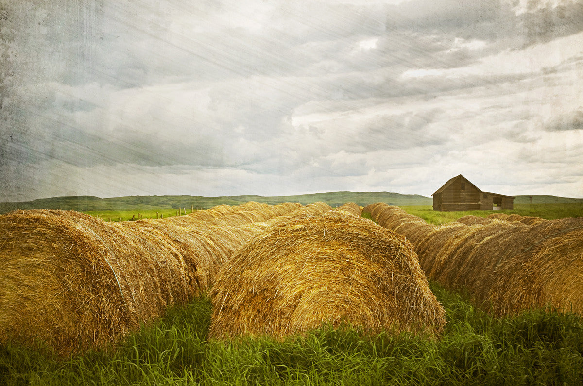 Calm Before the Storm <br> Archival Fine Art Chromogenic Print