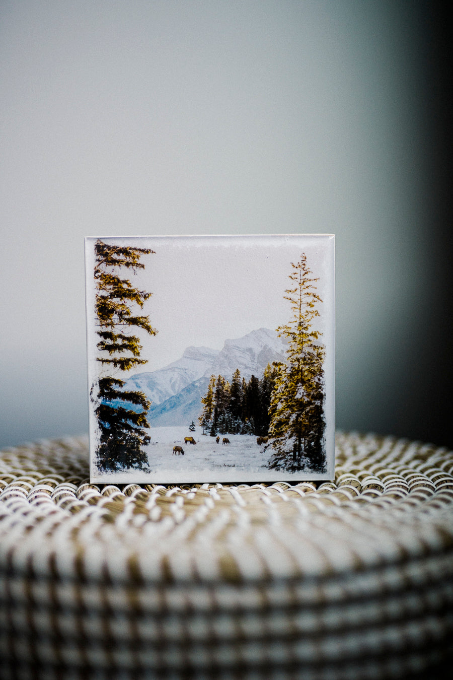 Winter Sunrise in Canmore with Elk <br> 5x5" Signature Glossy Art Block <br> New Pine Wood Edges