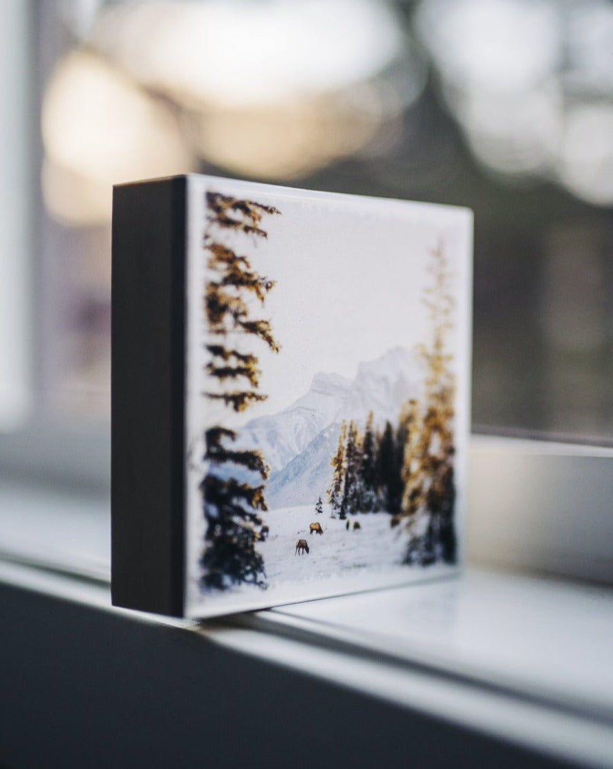 Winter Sunrise in Canmore with Elk <br> 5x5" Signature Glossy Art Block  <br> New Pine Wood Edges