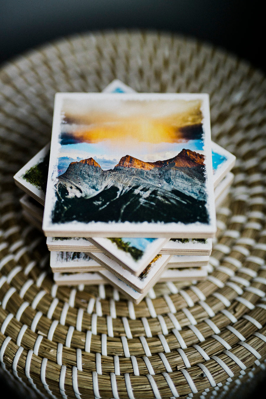 Aspen Trees in Autumn Kananaskis Canadian Rockies Birch Wood Photo Coaster