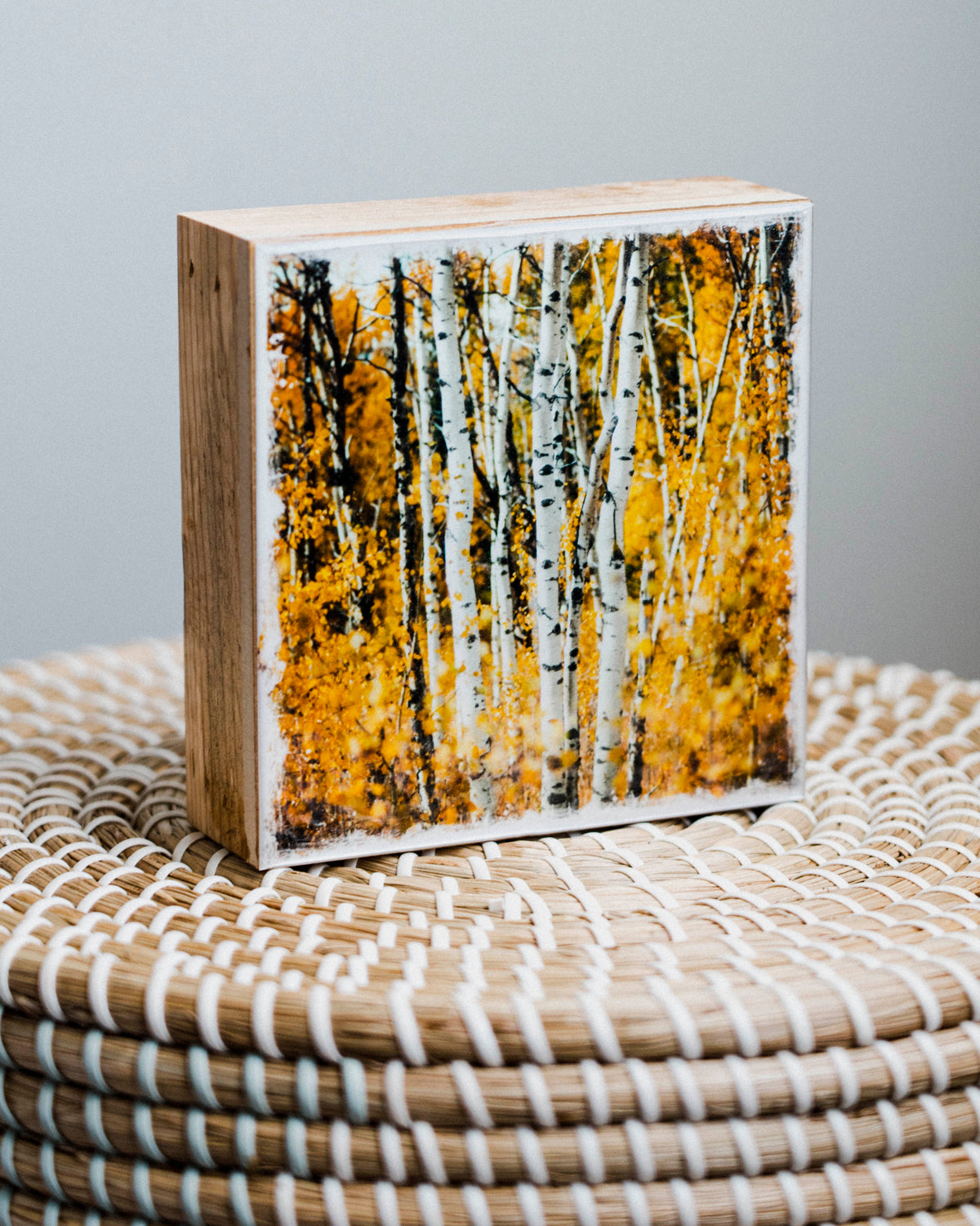 Autumn Aspens in Kananaskis <br> 5x5" Signature Glossy Art Block <br> Rustic Barn Wood Edges