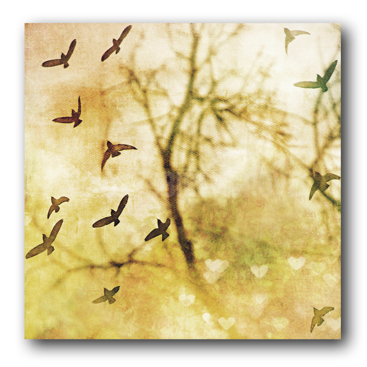 Estudio de aves n.° 1<br> Impresión cromogénica de bellas artes de archivo