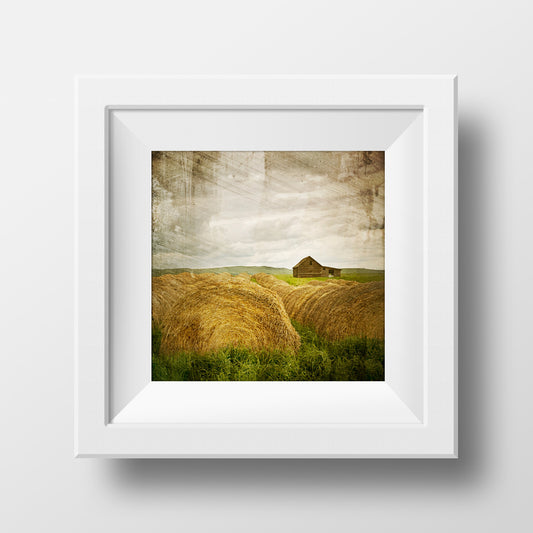 Calm Before the Storm <br> Archival Fine Art Chromogenic Print