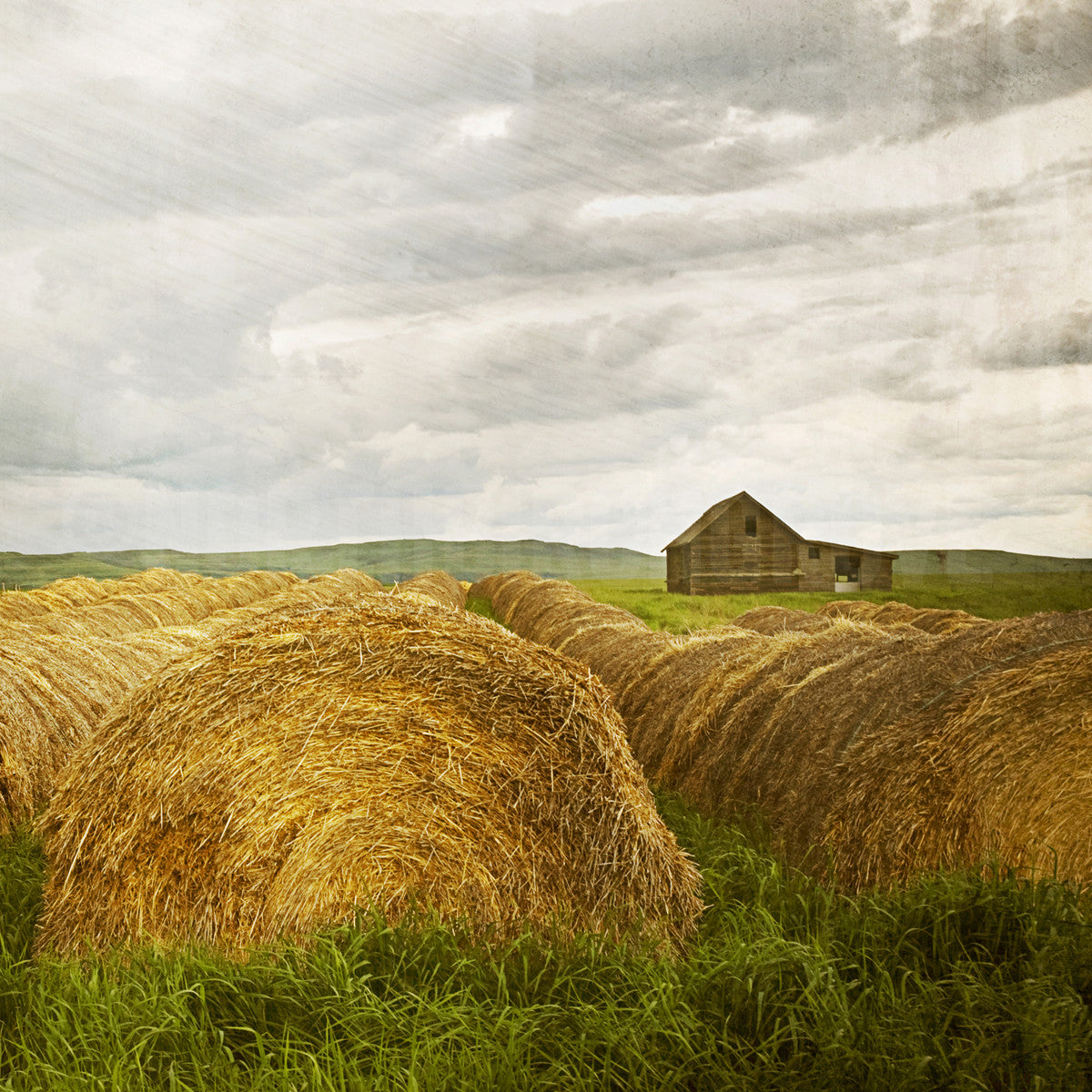 Calm Before the Storm <br> Archival Fine Art Chromogenic Print