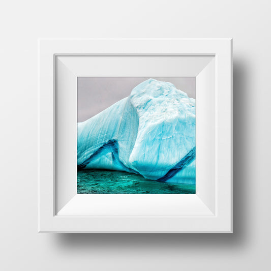 Blue<br>Labrador Canada<br>Archival Fine Art Chromogenic Print