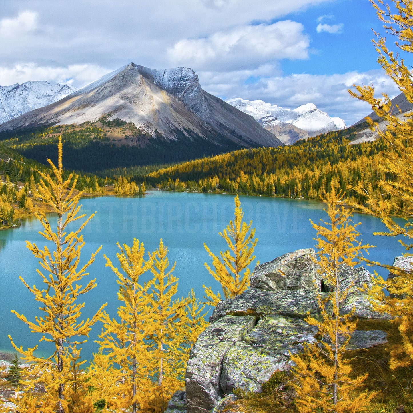 Luz de la mañana en el Parque Nacional Banff<br> Impresión cromogénica de bellas artes de archivo