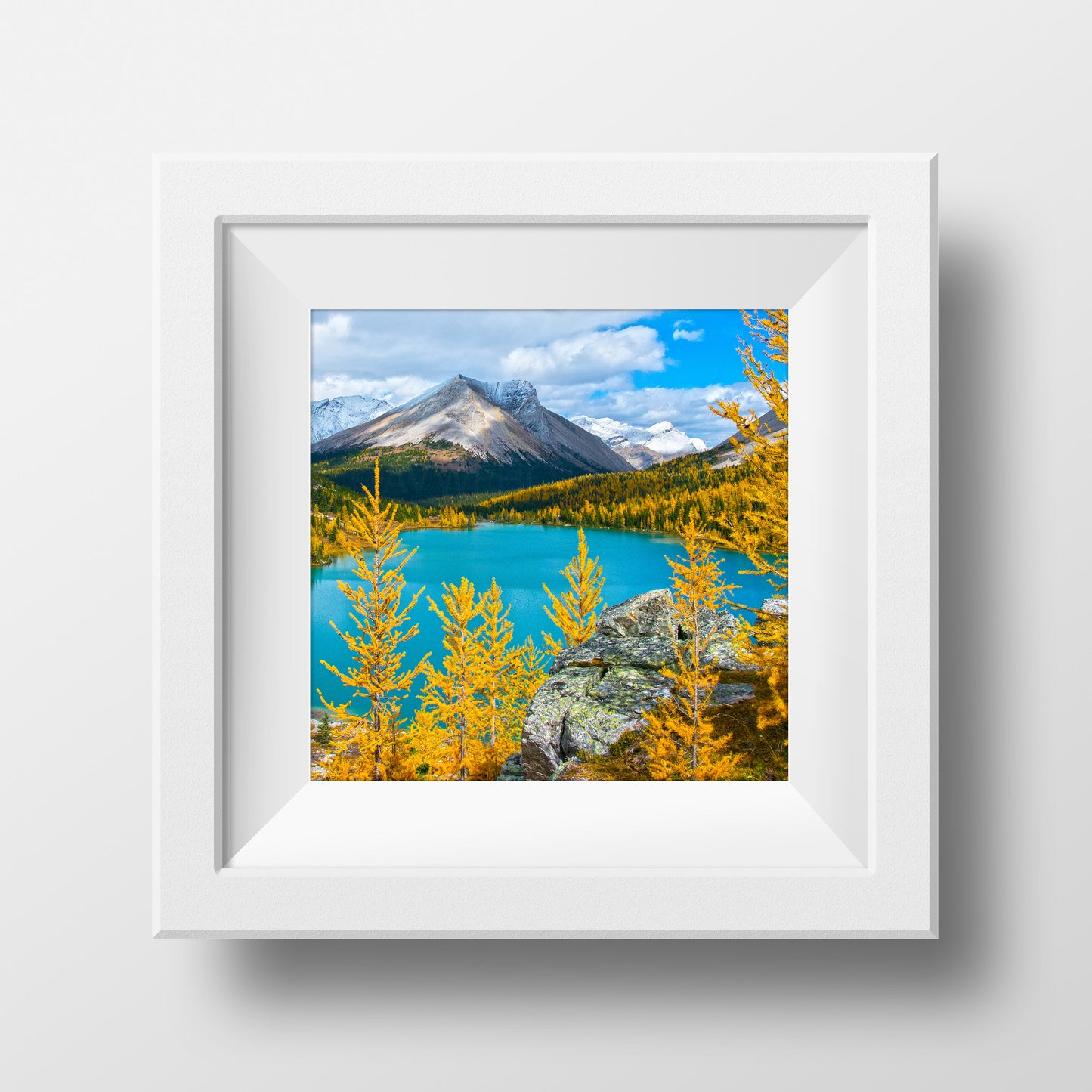 Luz de la mañana en el Parque Nacional Banff<br> Impresión cromogénica de bellas artes de archivo
