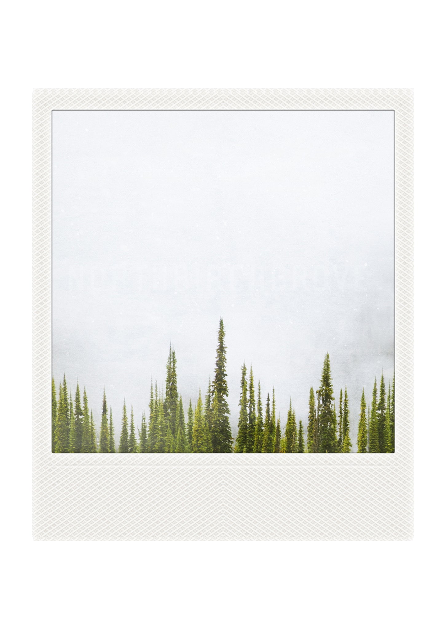 Imán Polaroid Metálico Abetos + Niebla