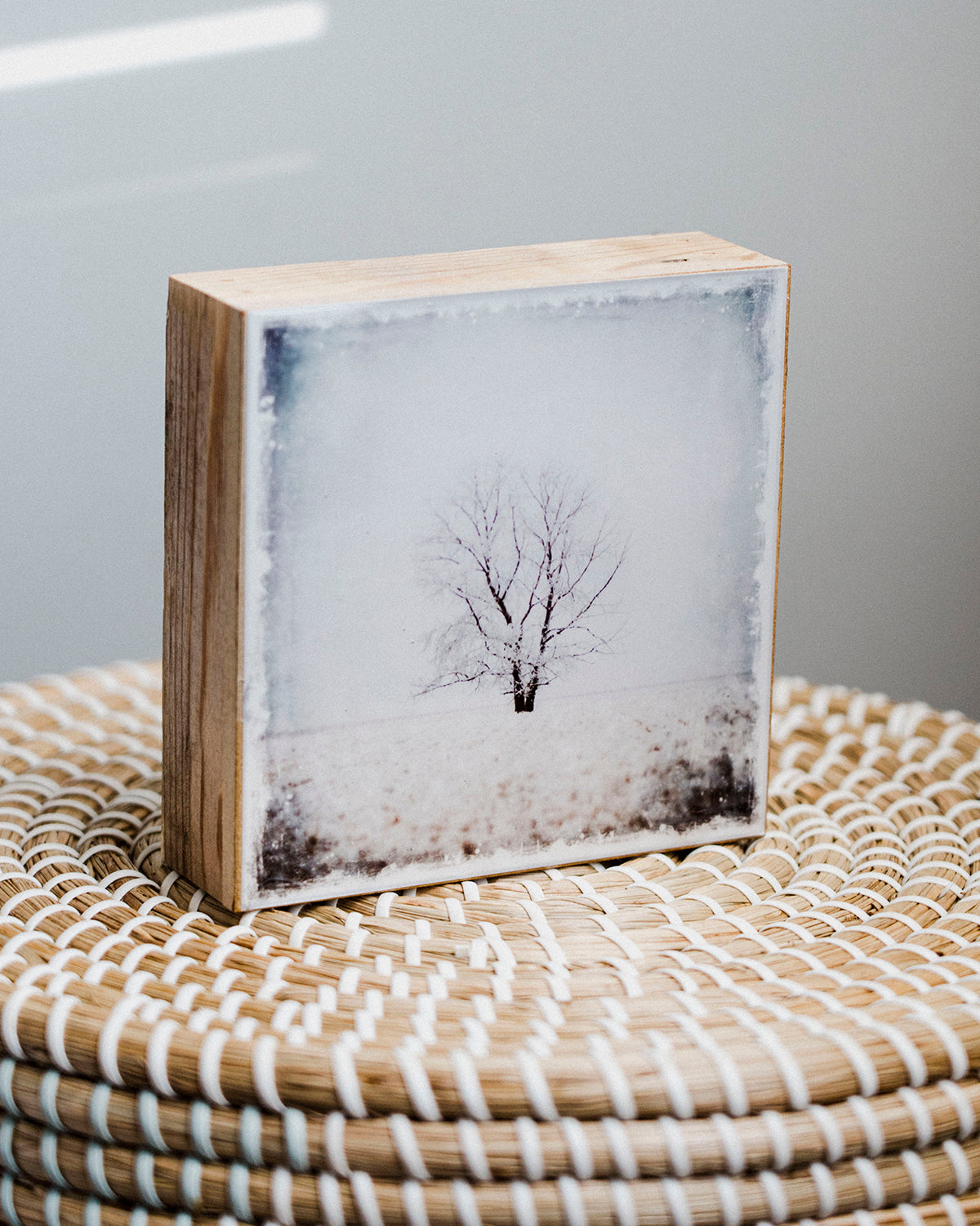 Lone Tree in Winter <br> 5x5" Signature Glossy Art Block <br> Rustic Barn Wood Edges