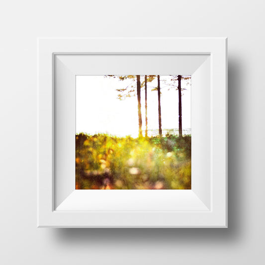 Ukon Juhla<br> El lago superior<br> Impresión cromogénica de bellas artes de archivo