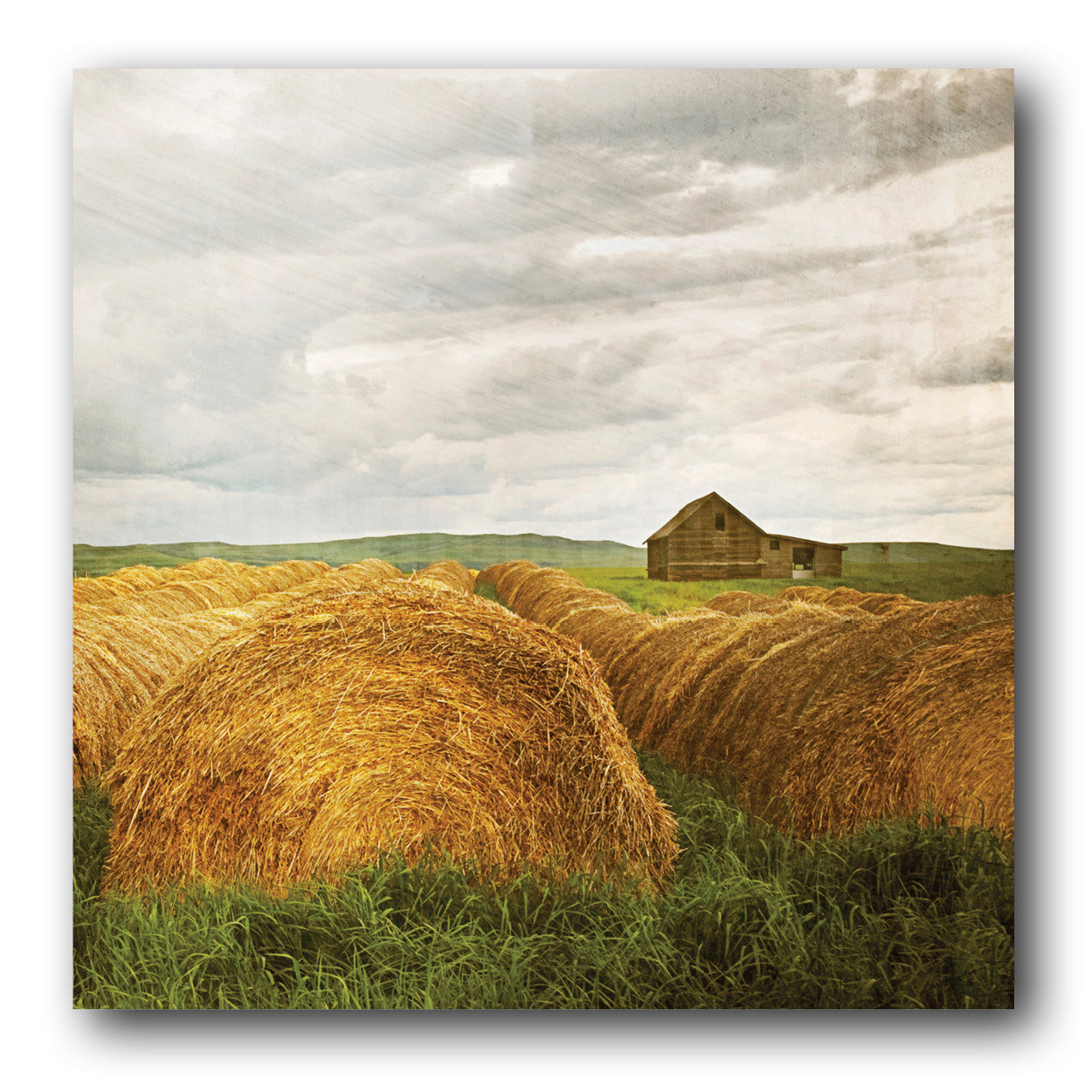 Calm Before the Storm <br> Archival Fine Art Chromogenic Print