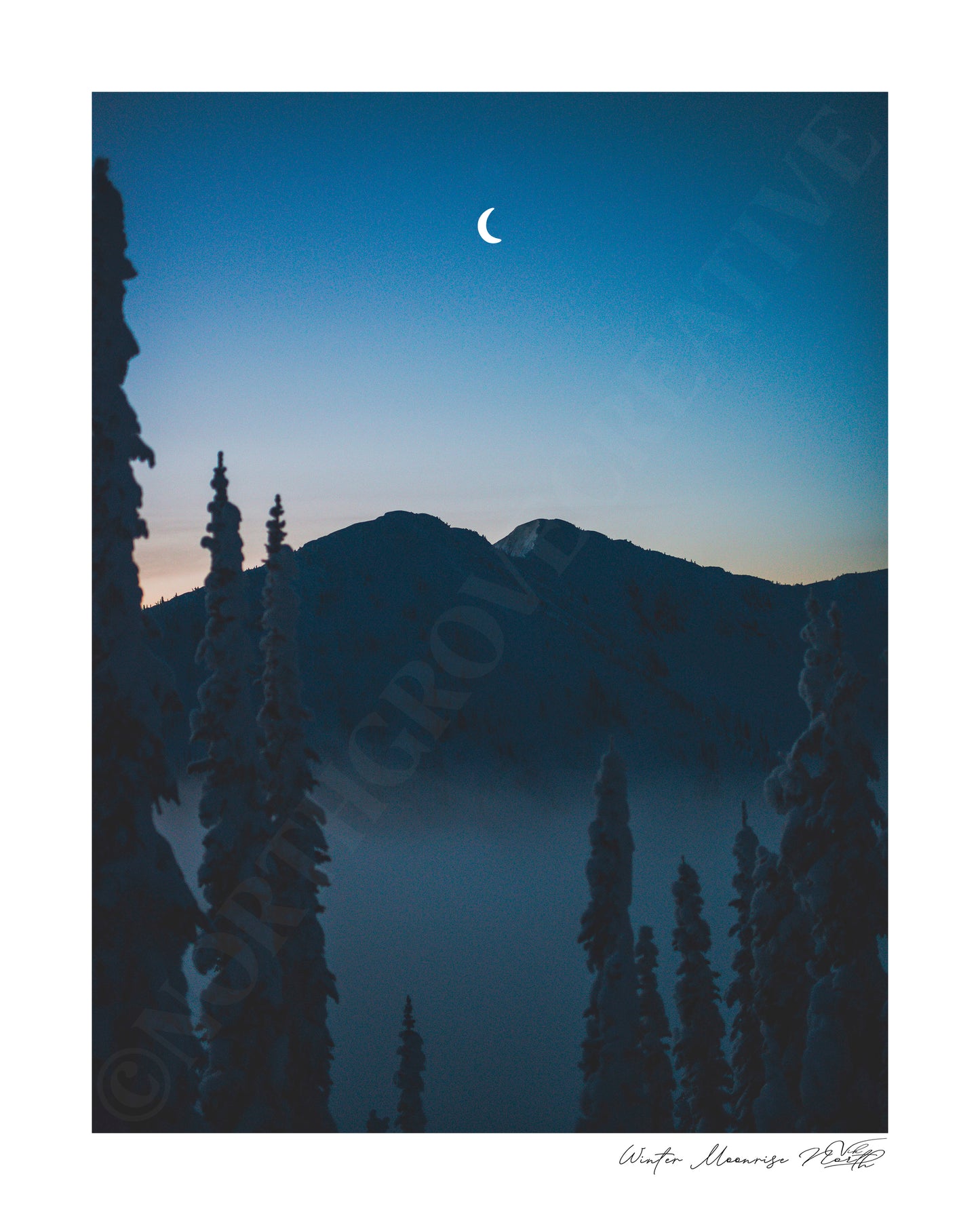 Winter Moonrise