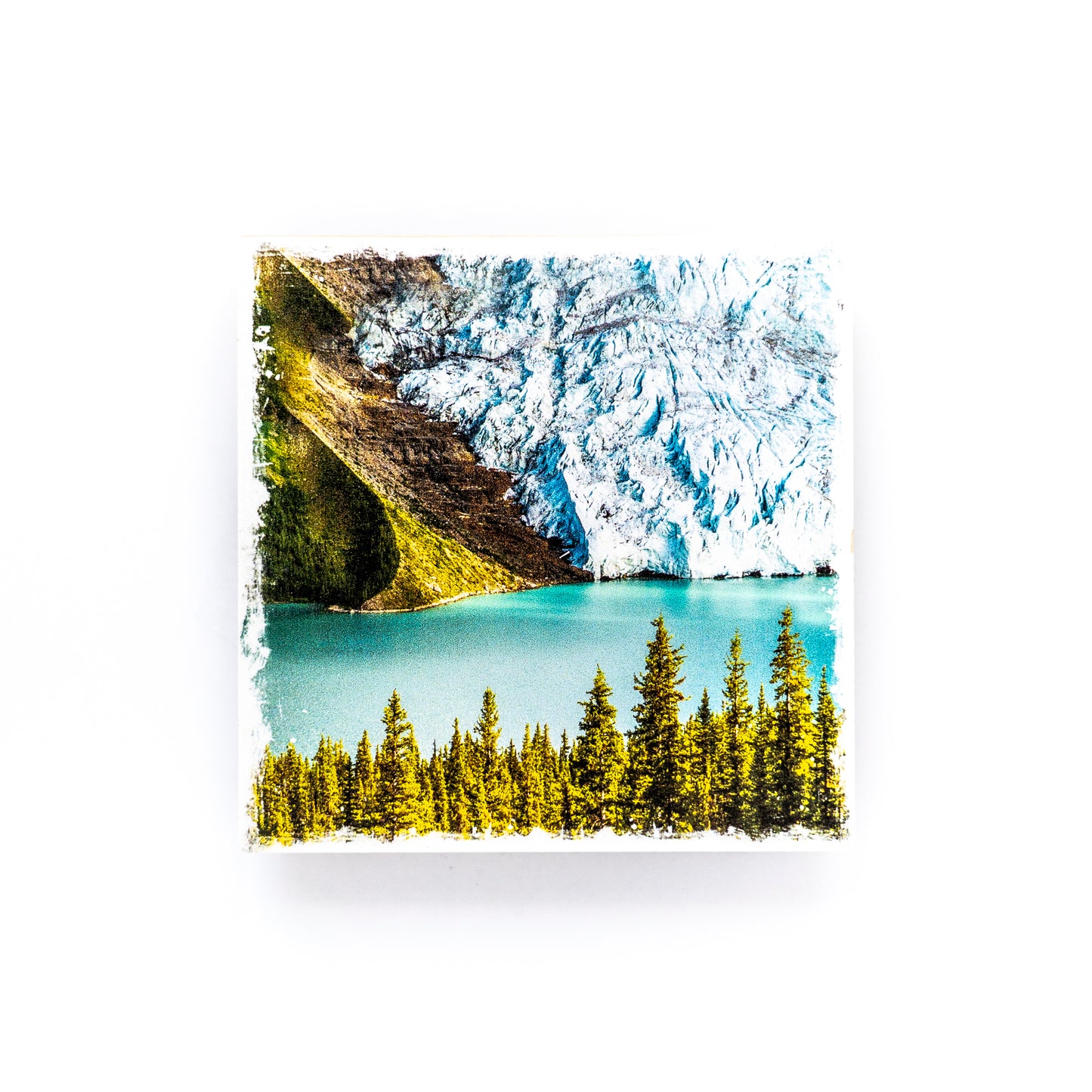Posavasos con fotografías de madera de abedul del Parque Provincial Monte Robson del lago Berg, Columbia Británica