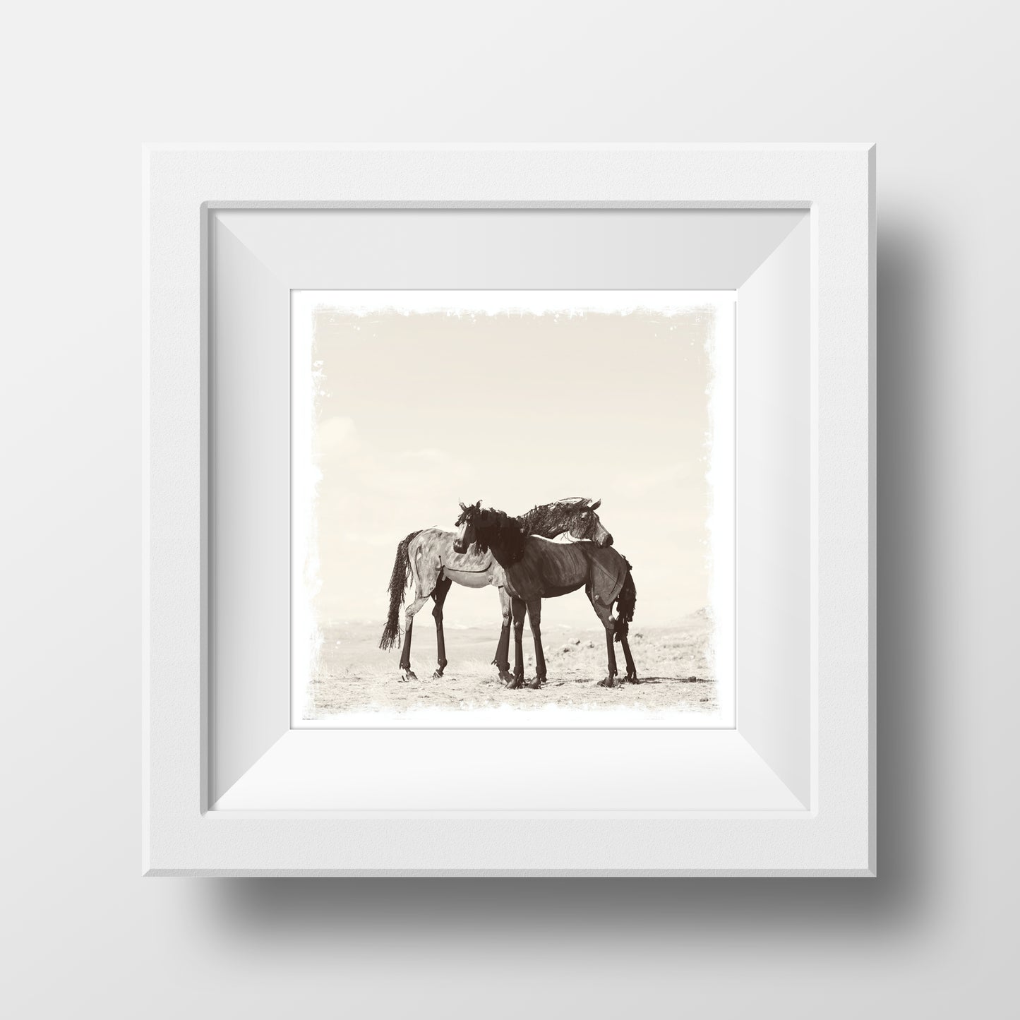 SALE 5x5" Fine Art Print <br>Two Bleu Horses in Montana<br> Metallic Finish