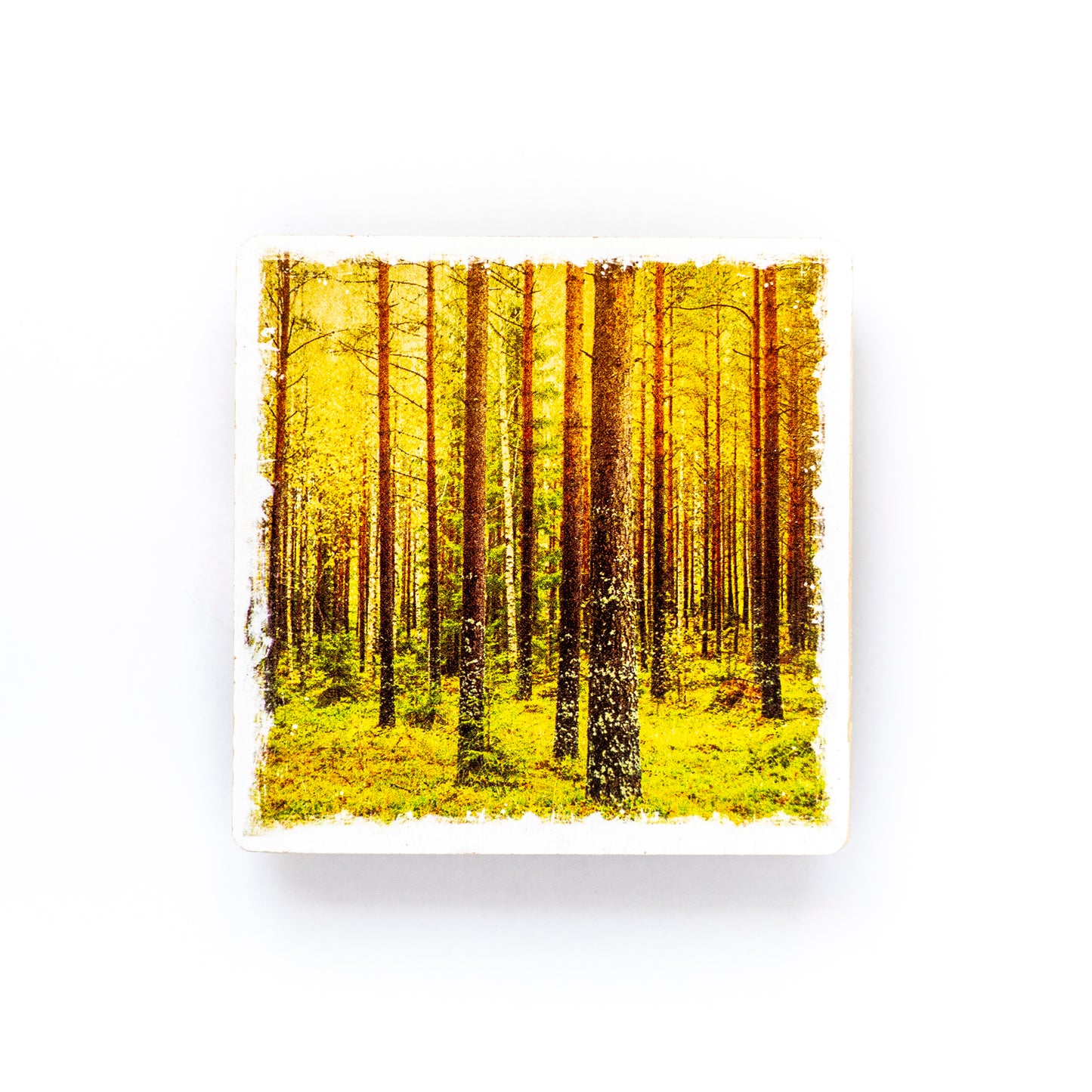 Posavasos con fotografía Bosque en otoño de madera de abedul