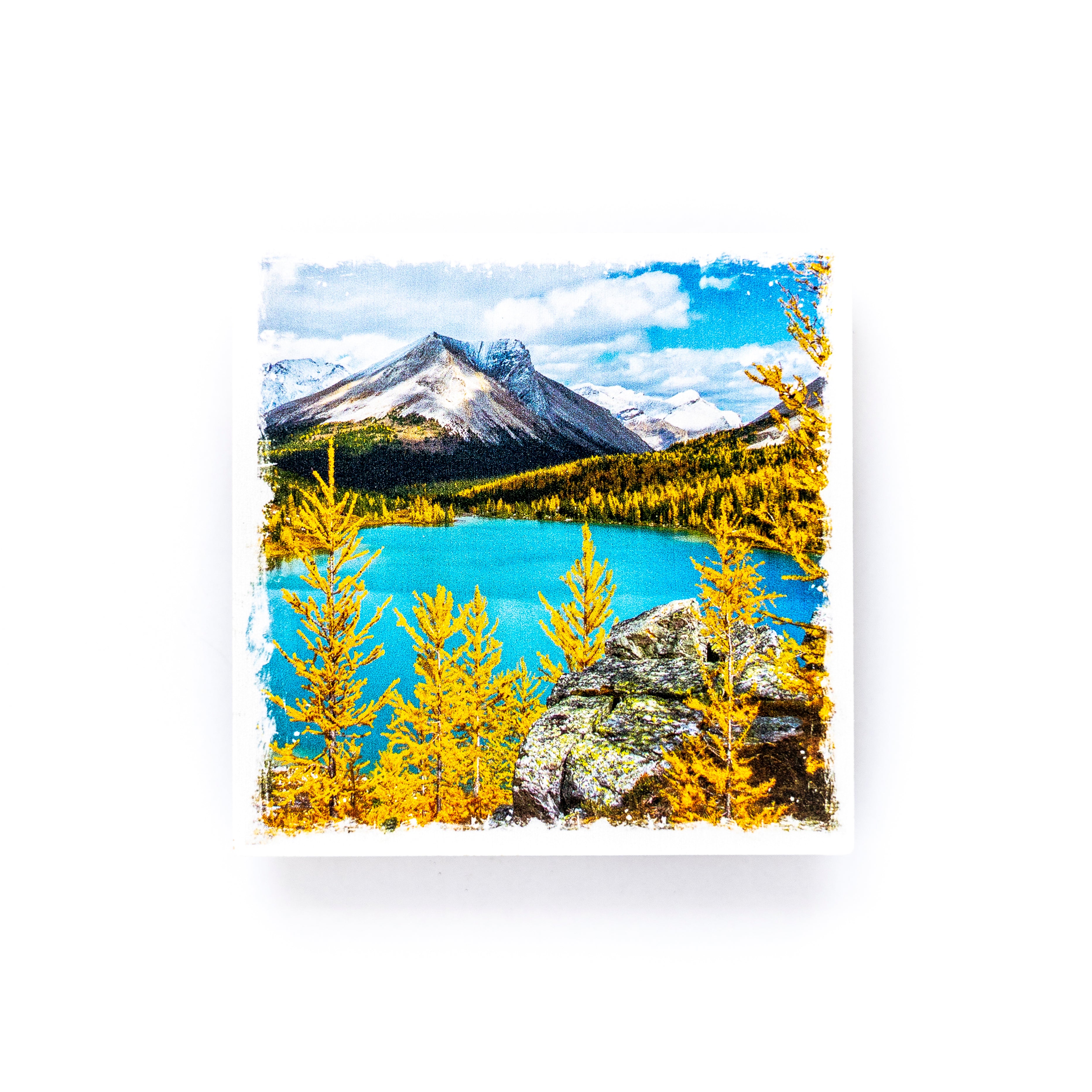 Skoki Lakes Banff National Park Canadian Rockies Birch Wood Photo Coaster