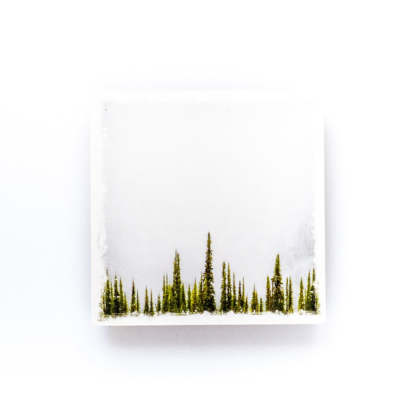 Fir Trees & Fog Birch Wood Photo Coaster