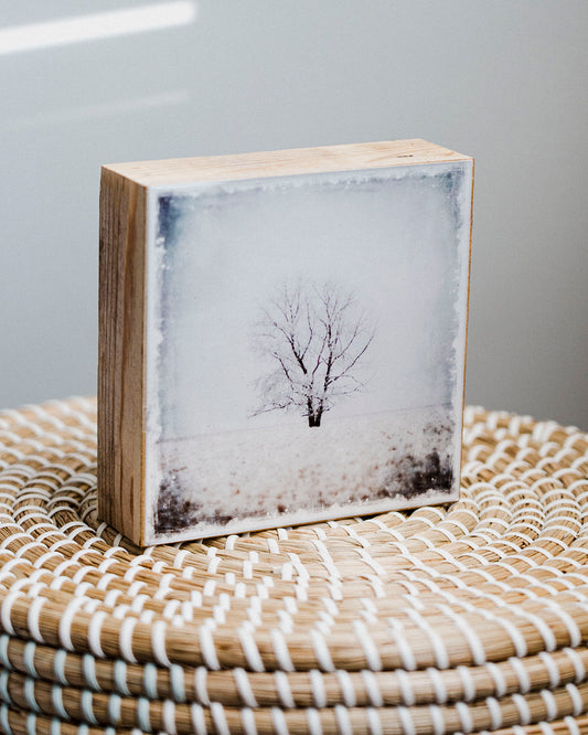 Árbol solitario en invierno<br> Bloque artístico brillante exclusivo de 5x5" <br>Bordes de madera de granero rústico